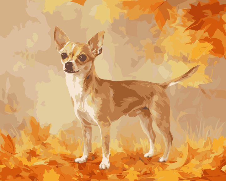 Chihuahua Herbst