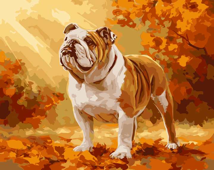 Herbst-Englische Bulldogge