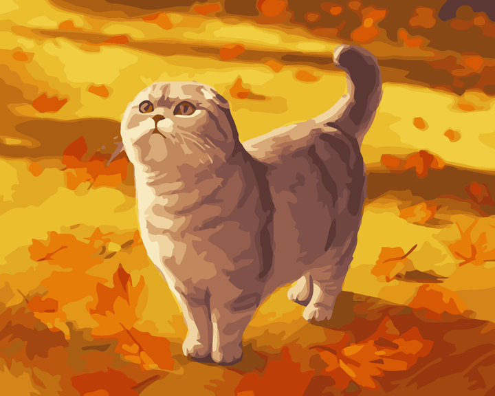 Herbst Scottish Fold
