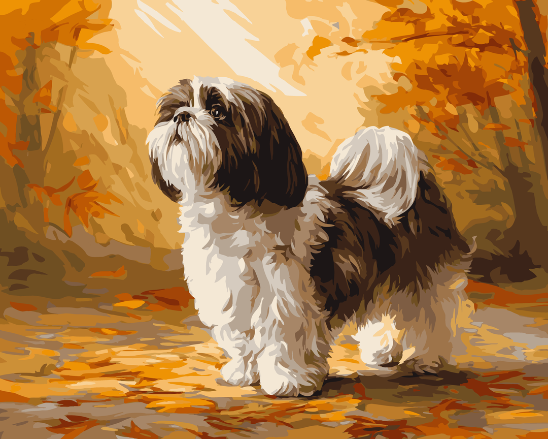 Herbst Shih Tzu