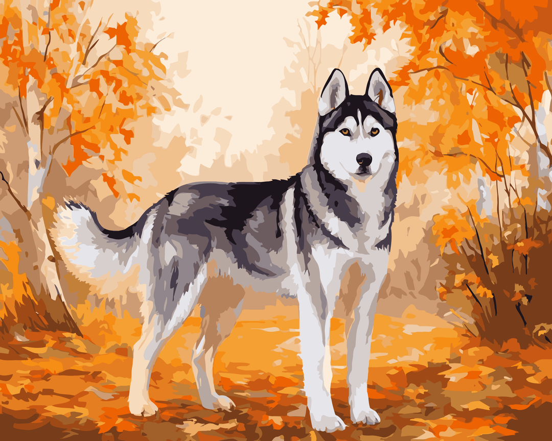 Jesienny husky