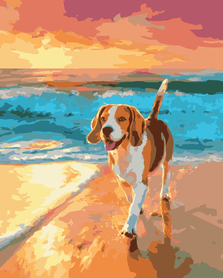 Plaża Beagle