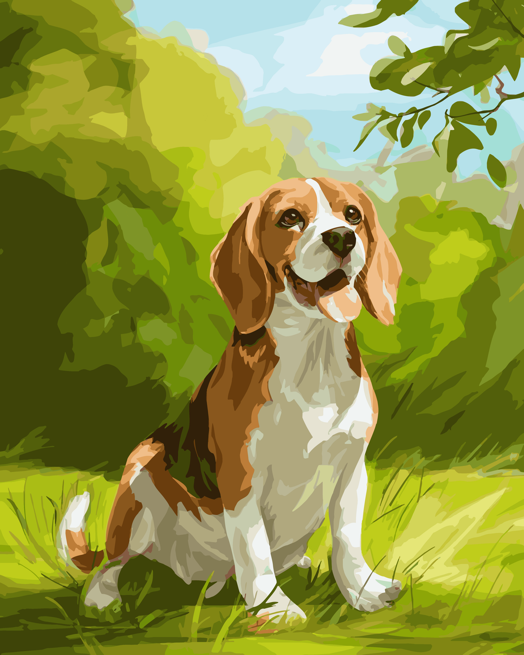 Beagle-Wiese