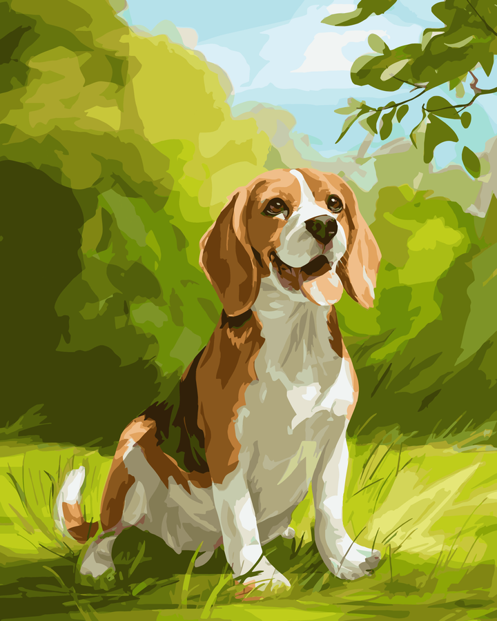 Beagle-Wiese