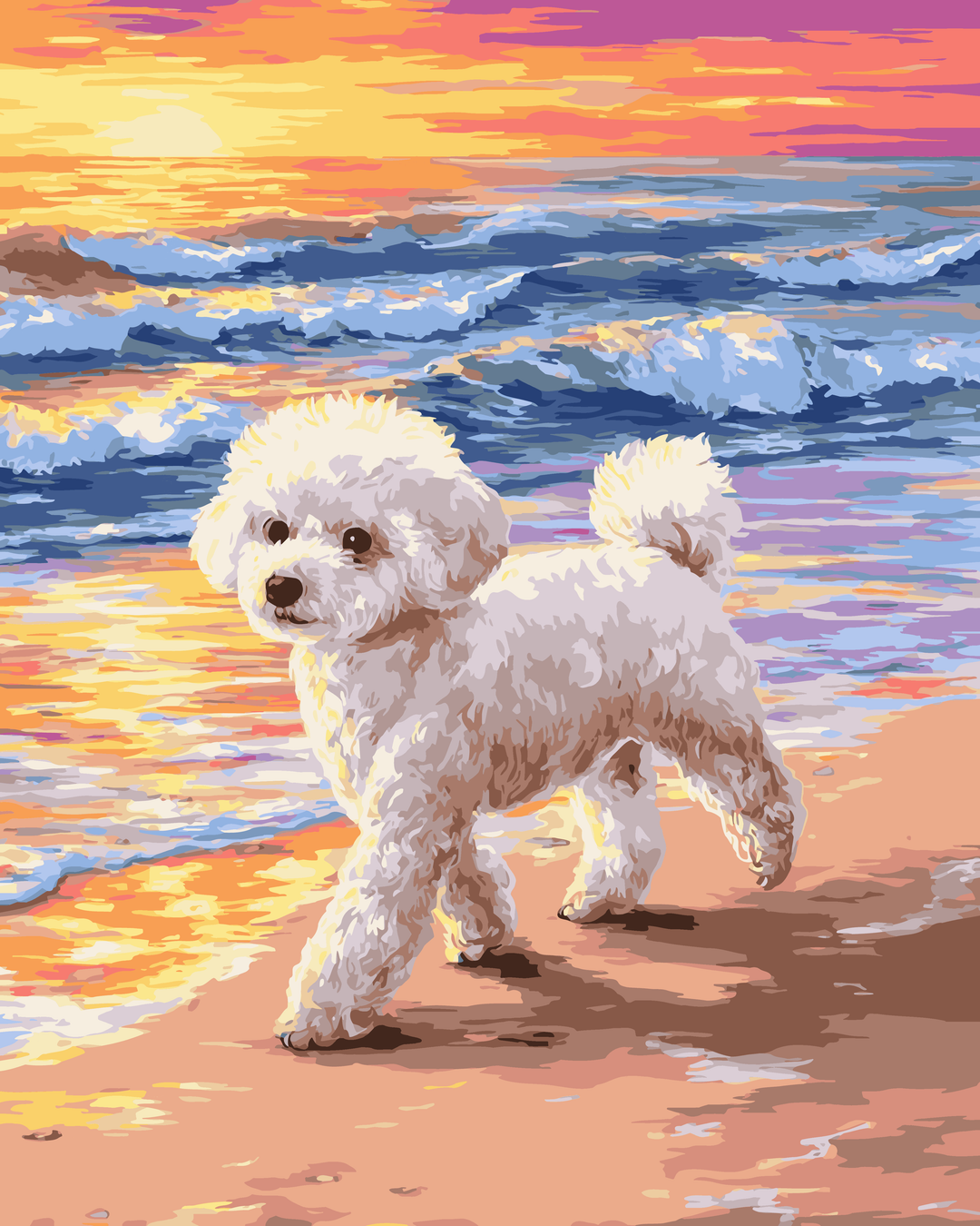 Bichon Frise Strand