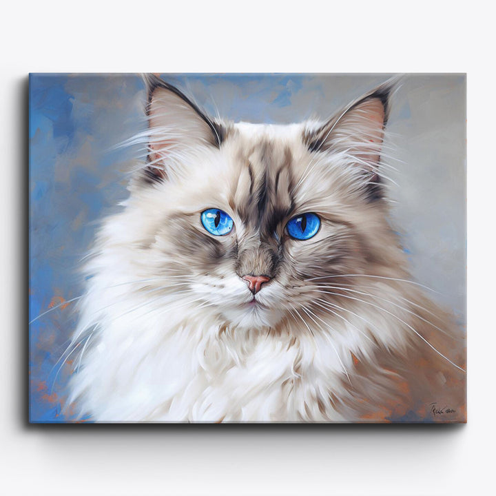 Heilige Birma Katze Nr. 2