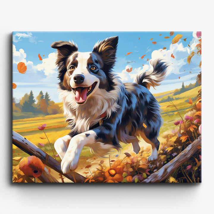 Border Collies Geschichte