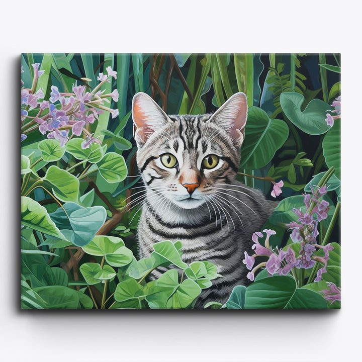 Brasilianische Kurzhaarkatze