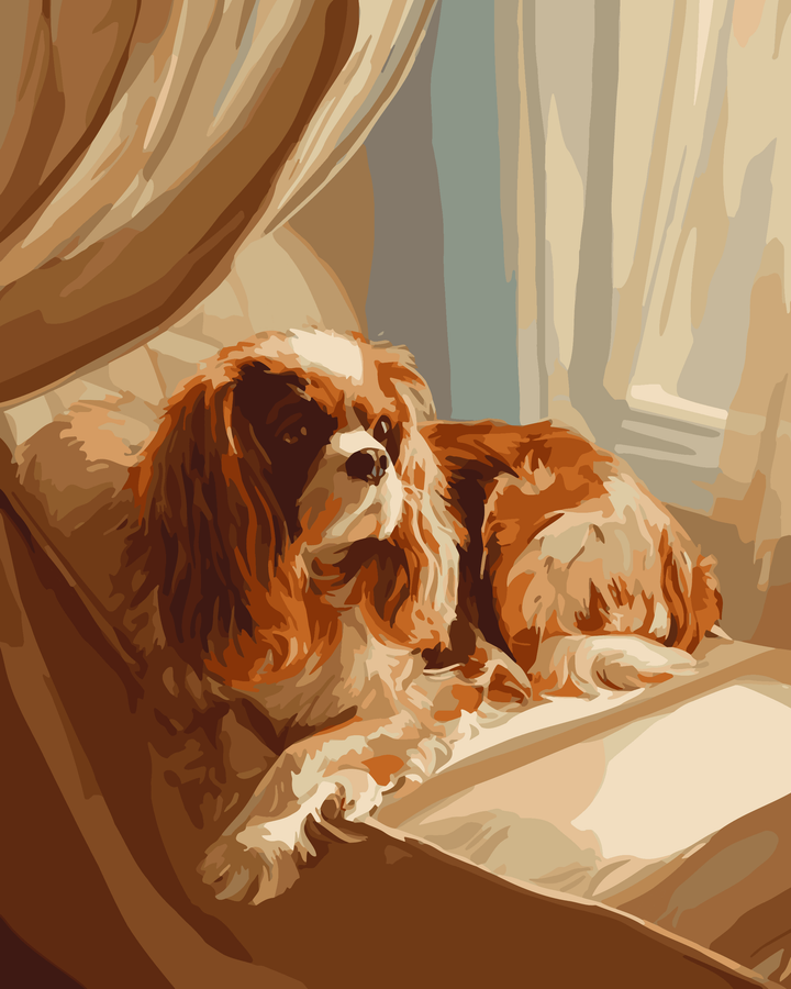 Gemütlicher Cavalier King