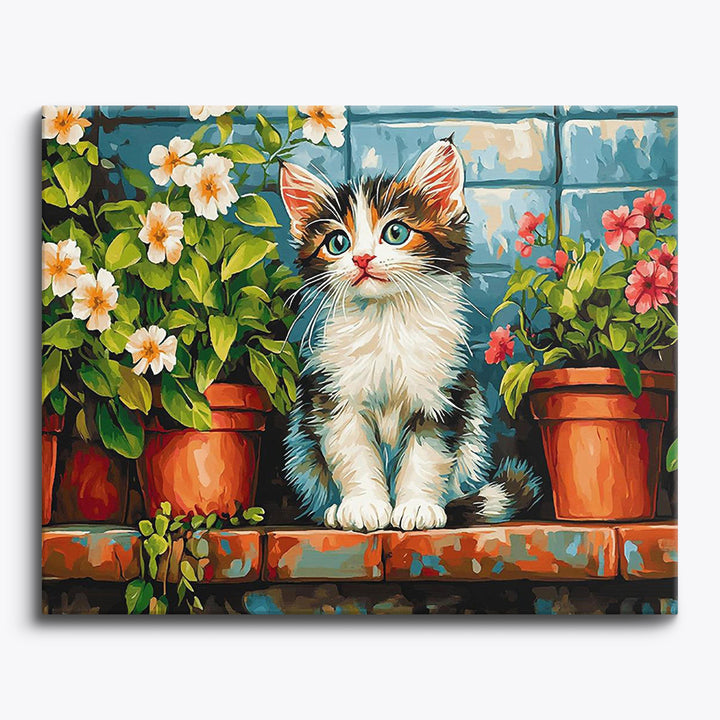 Stadtkatze