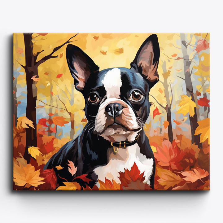 Bunte Hundeabenteuer