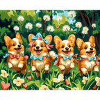 Parada w ogrodzie Corgi