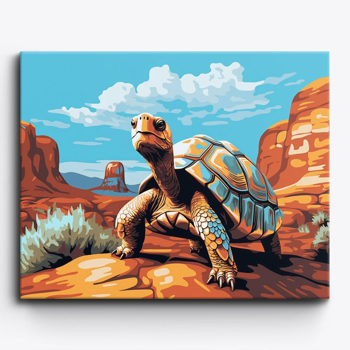 Wüstenschildkröte