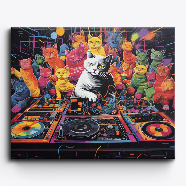 Katzen-DJ