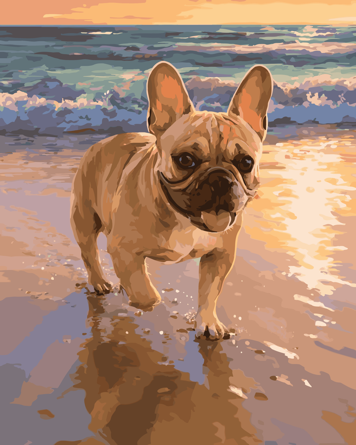 Französische Bulldogge Strand