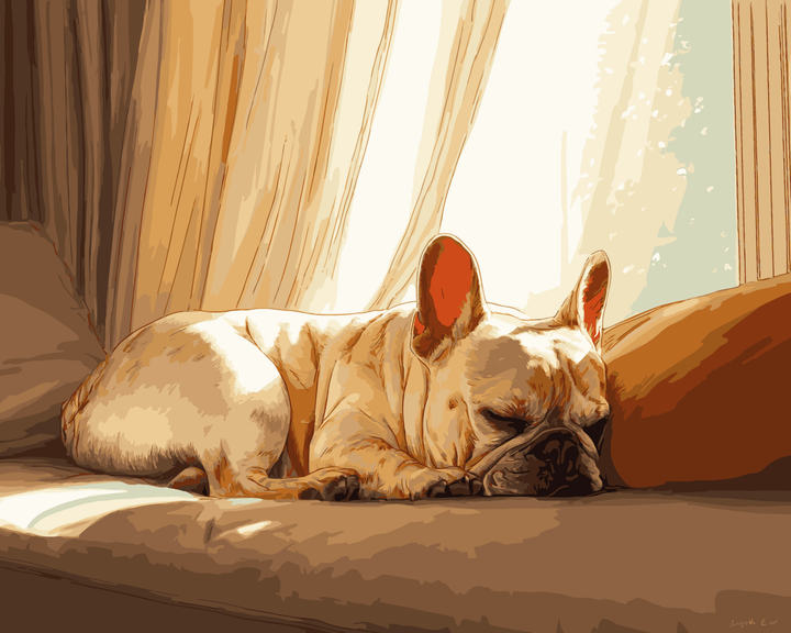 Französische Bulldogge Nickerchen
