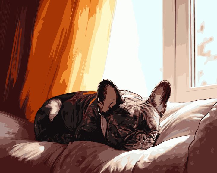 Französische Bulldogge Sonnenlicht