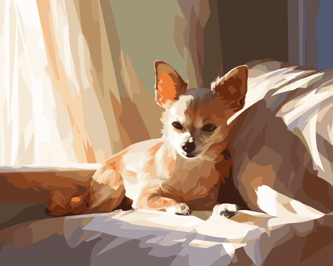 Chihuahua-Charme