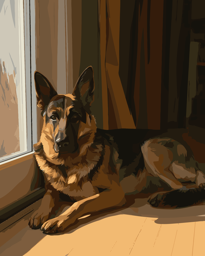 Schäferhund Schatten