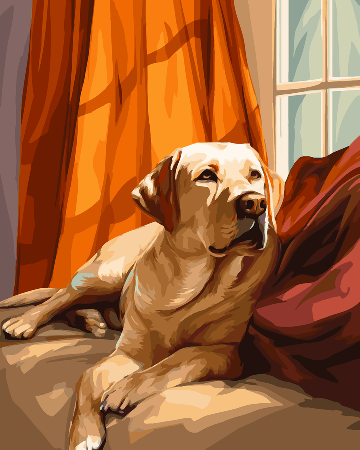 Liegender Labrador