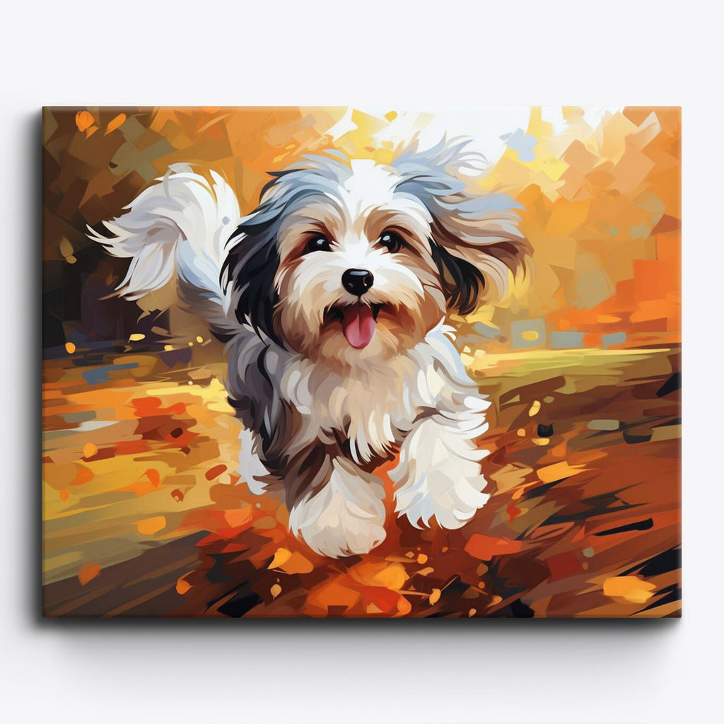 Skaczący havanese w promieniach słońca