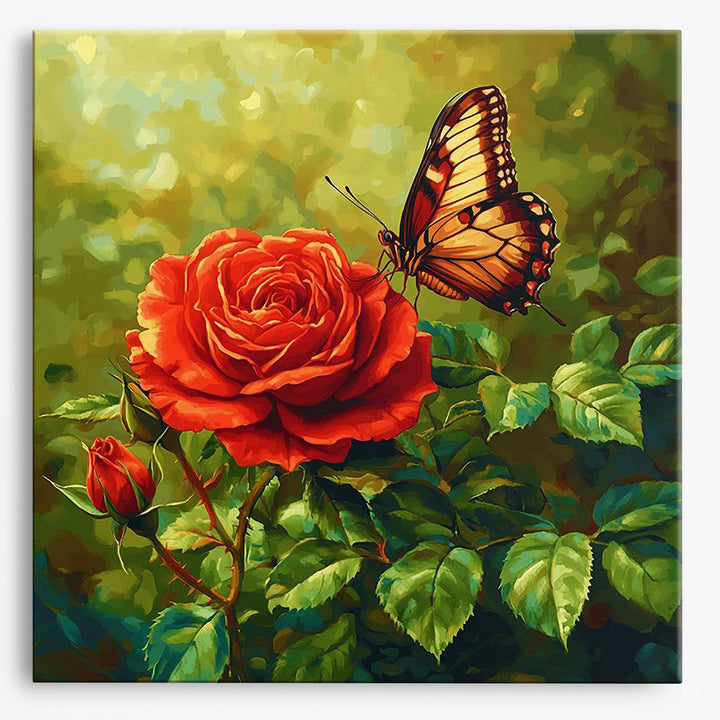 Rote Rose Schönheit