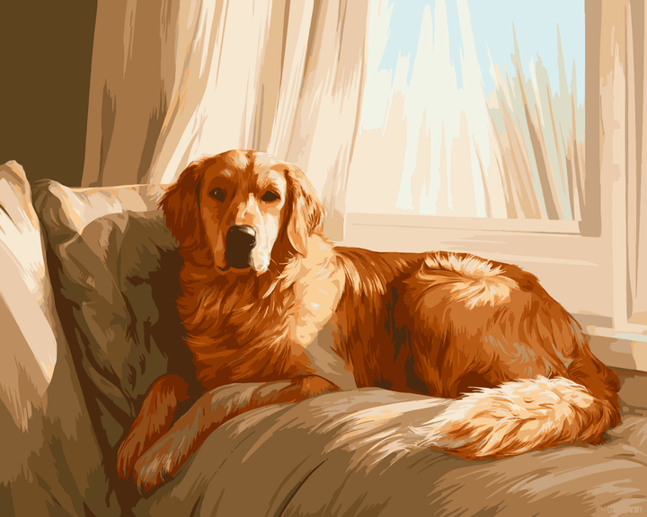 Ruhender Retriever
