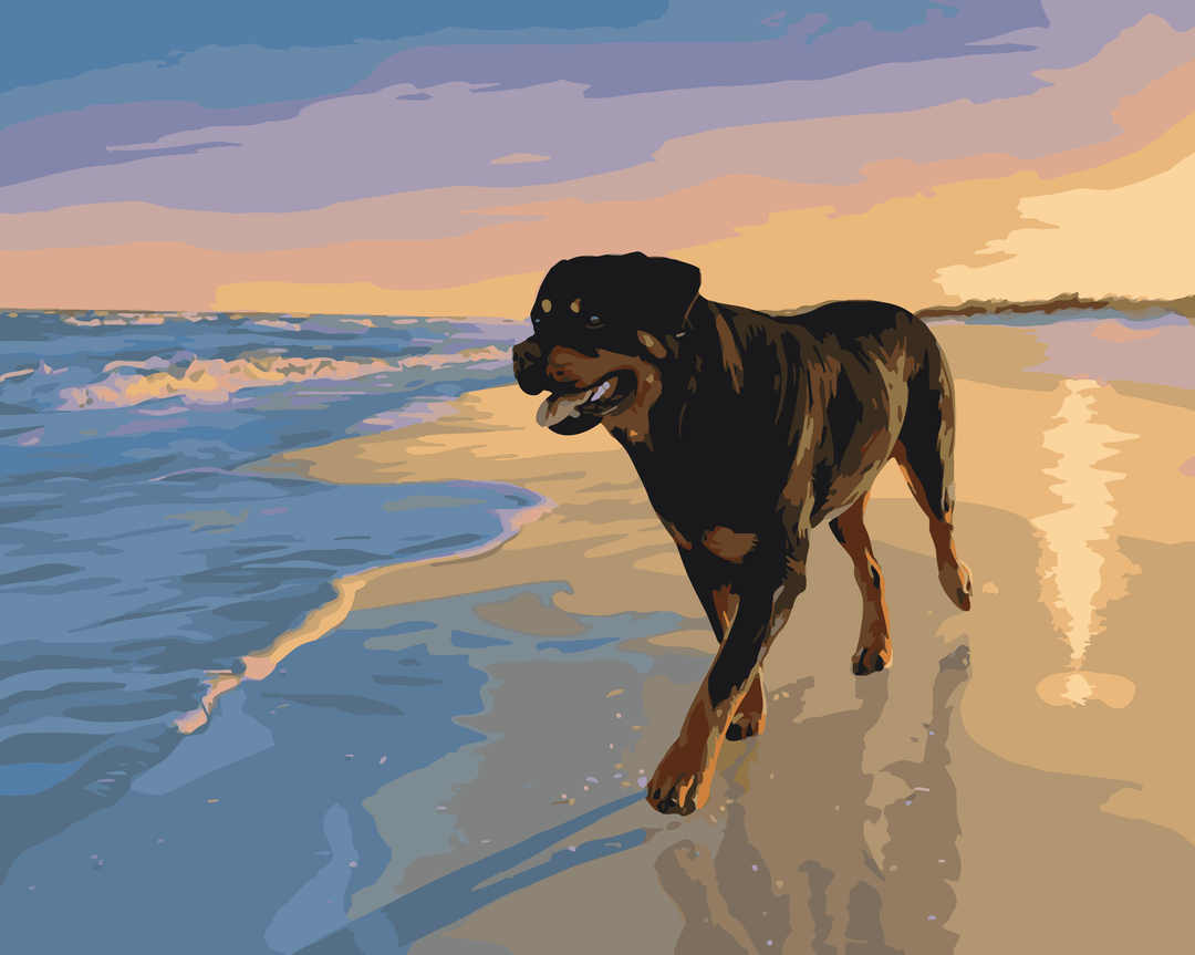 Rottweiler Strand