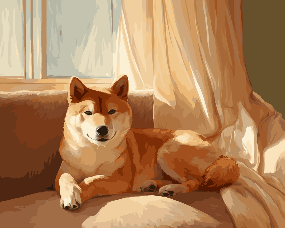Shiba-Inu-Schatten