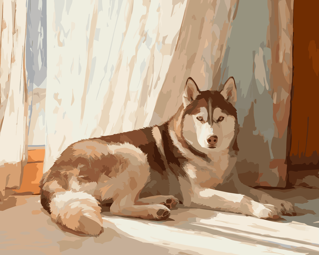 Sibirischer Husky döst