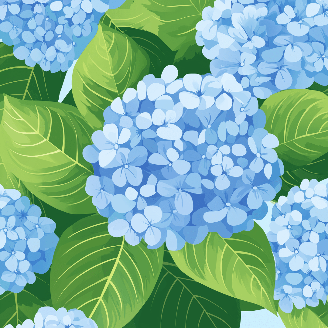 Himmel-Hortensie
