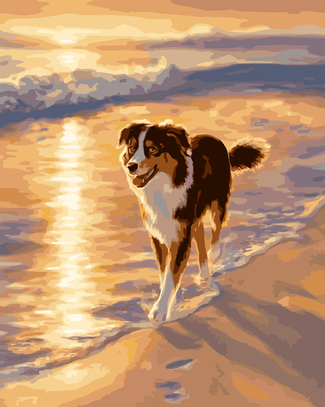 Australian Shepherd Küstenlinie