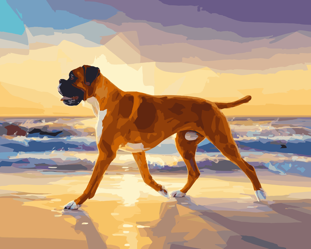 Boxerstrand