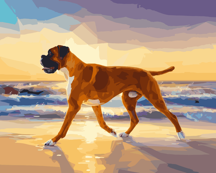 Boxerstrand