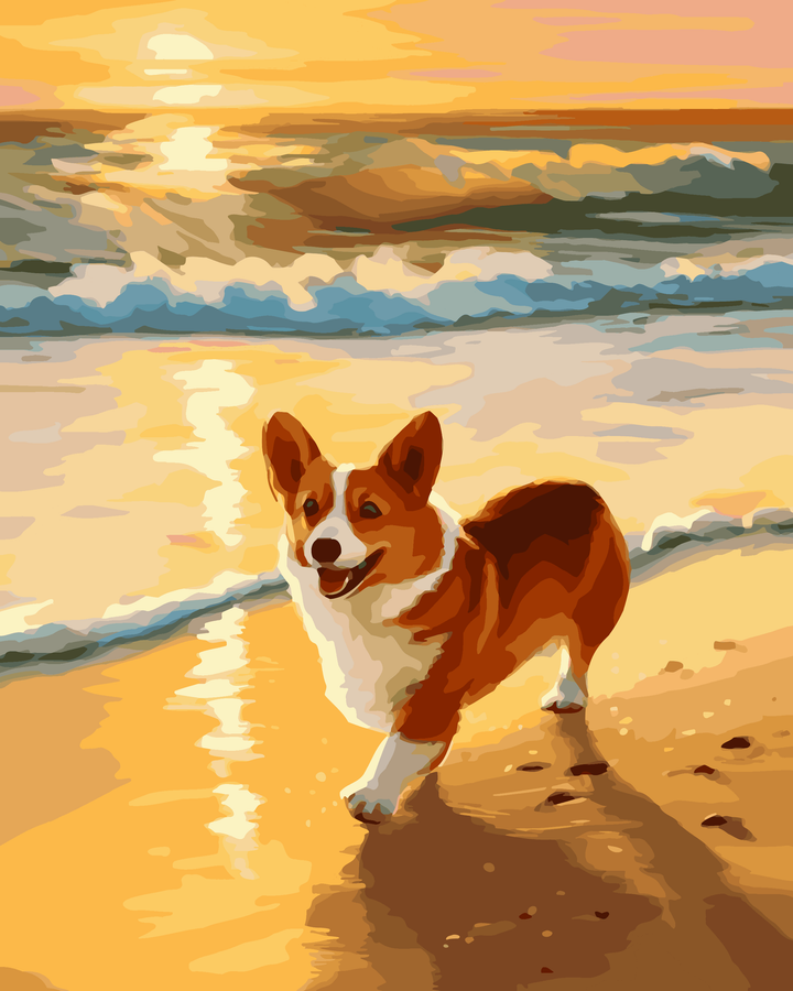 Corgi-Küste