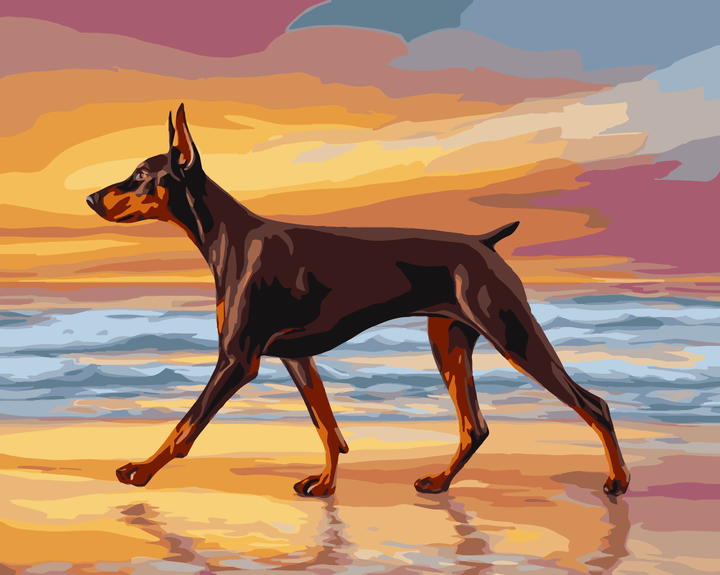 Dobermann bei Sonnenuntergang