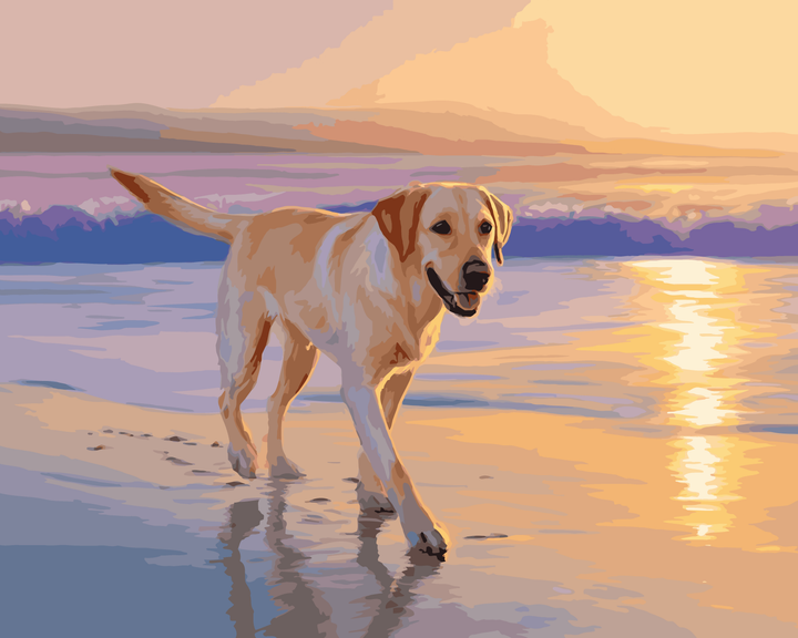 Strandspaziergang mit Labrador