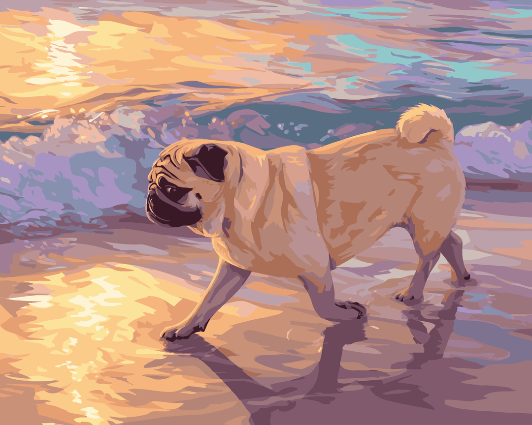 Strandbewohnender Mops