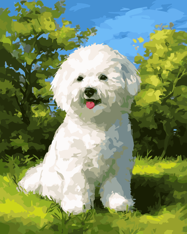 Lächelnder Bichon Frisé