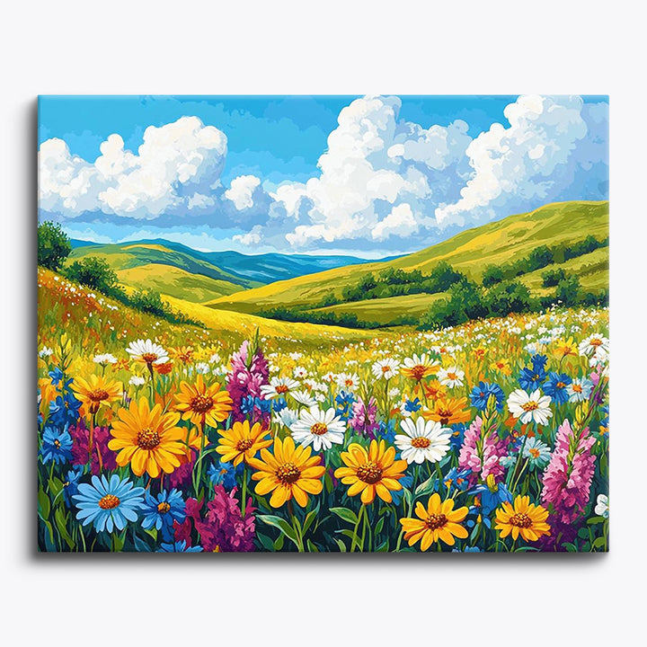 Wildblumenwiese