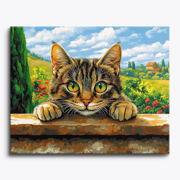 Fensterkatze beim Starren